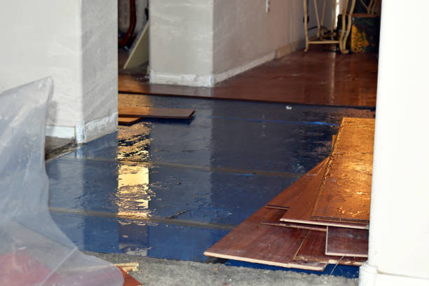 Professional Basement Flood Cleanup technician working in Bladensburg, OH